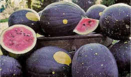 兰州吃瓜爆料是真的吗